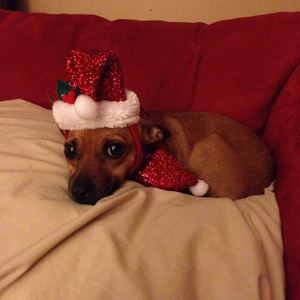 Meet your Posher, Aaron